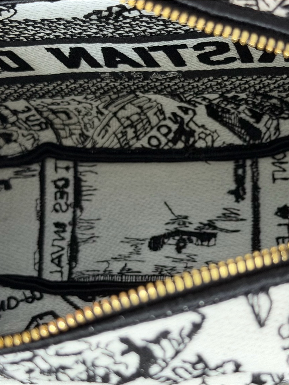 New Dior Plan de Paris Canvas Embroidered Cosmetic Bag - Picture 11 of 13